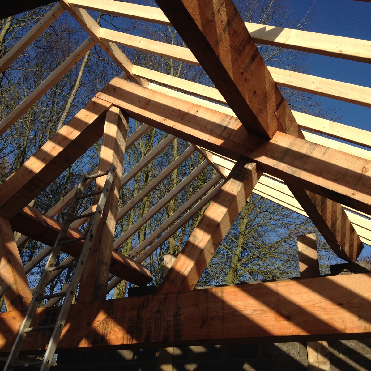 Carpenter and Joiner: Image 2